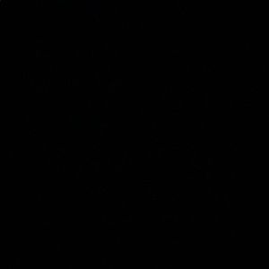 Meet your Posher, Irene